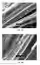 Fig. 07 - Carbon-based nanostructure formation using large scale active growth structures