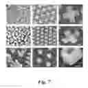 Fig. 08 - SELF-ASSEMBLY OF LITHOGRAPHICALLY PATTERNED POLYHEDRAL NANOSTRUCTURES AND FORMATION OF CURVING NANOSTRUCTURES