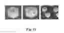 Fig. 12 - SELF-ASSEMBLY OF LITHOGRAPHICALLY PATTERNED POLYHEDRAL NANOSTRUCTURES AND FORMATION OF CURVING NANOSTRUCTURES