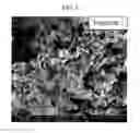 Fig. 04 - OLIVINE-BASED POSITIVE ACTIVE MATERIAL FOR RECHARGEABLE LITHIUM BATTERY AND RECHARGEABLE LITHIUM BATTERY USING SAME