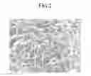 Fig. 03 - Positive Active Material for Rechargeable Lithium Battery, Method of Preparing the Same, and Rechargeable Lithium Battery Including the Same