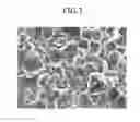 Fig. 04 - Positive Active Material for Rechargeable Lithium Battery, Method of Preparing the Same, and Rechargeable Lithium Battery Including the Same