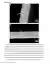 Fig. 04 - Organic/inorganic composite blend membrane compositions of polyelectrolye blends with nanoparticles