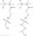 Fig. 54 - POLYMER, POSITIVE RESIST COMPOSITION, AND PATTERNING PROCESS