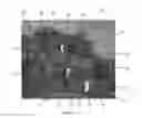 Fig. 03 - Immersive training scenario systems and related methods