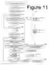 Fig. 07 - DENTAL EDUCATIONAL APPARATUS AND METHOD