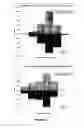 Fig. 09 - HUMAN IMMUNODEFICIENCY VIRUS TYPE 1 (HIV-1) DETECTION METHOD AND KIT THEREFOR