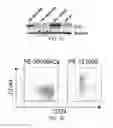 Fig. 02 - CANCER BIOMARKER AND METHODS OF USING THEREOF