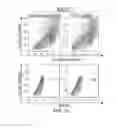 Fig. 06 - CANCER BIOMARKER AND METHODS OF USING THEREOF