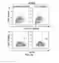 Fig. 07 - CANCER BIOMARKER AND METHODS OF USING THEREOF