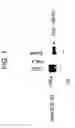 Fig. 02 - MER DIAGNOSTIC AND THERAPEUTIC AGENTS