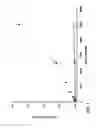 Fig. 02 - ELISA for Haptoglobin-Matrix Metalloproteinase 9 Complex as a Diagnostic Test for Conditions Including Acute Inflammation