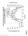 Fig. 09 - ELISA for Haptoglobin-Matrix Metalloproteinase 9 Complex as a Diagnostic Test for Conditions Including Acute Inflammation