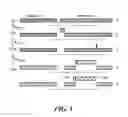 Fig. 02 - Complement assays and uses thereof