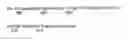 Fig. 10 - ENZYMES AND METHODS FOR RESOLVING AMINO VINYL CYCLOPROPANE CARBOXYLIC ACID DERIVATIVES