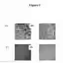 Fig. 04 - Substrates, devices, and methods for quantitative liquid crystal assays