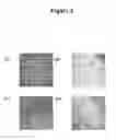 Fig. 06 - Substrates, devices, and methods for quantitative liquid crystal assays
