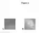Fig. 07 - Substrates, devices, and methods for quantitative liquid crystal assays