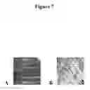 Fig. 08 - Substrates, devices, and methods for quantitative liquid crystal assays
