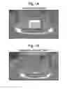 Fig. 02 - Methods for separation, characterization and/or identification of microorganisms using spectroscopy