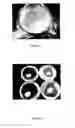 Fig. 02 - Smart packaging for detecting microorganisms