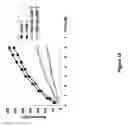 Fig. 17 - Polymer-von Willebrand factor-conjugates