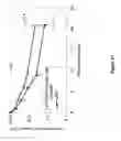 Fig. 22 - Polymer-von Willebrand factor-conjugates