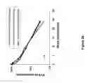 Fig. 26 - Polymer-von Willebrand factor-conjugates