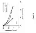 Fig. 28 - Polymer-von Willebrand factor-conjugates