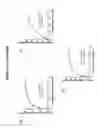 Fig. 16 - Hemicellulose-degrading enzymes