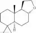 Fig. 04 - Biocatalytic production of ambroxan