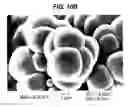 Fig. 09 - SORBENT AND PROCESS FOR REMOVING FERMENTATION INHIBITORS