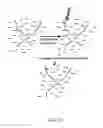 Fig. 02 - Methods for phototransfecting nucleic acids into live cells