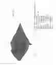 Fig. 32 - Electrokinetic device for capturing assayable agents in a dielectric fluid