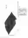 Fig. 41 - Electrokinetic device for capturing assayable agents in a dielectric fluid