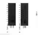 Fig. 02 - Methods for producing preparations of recombinant AAV virions substantially free of empty capsids