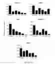Fig. 03 - INDUCED DERIVATION OF SPECIFIC ENDODERM FROM hPS CELL-DERIVED DEFINITIVE ENDODERM