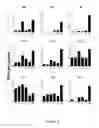 Fig. 06 - INDUCED DERIVATION OF SPECIFIC ENDODERM FROM hPS CELL-DERIVED DEFINITIVE ENDODERM