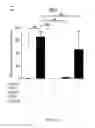 Fig. 09 - INDUCED DERIVATION OF SPECIFIC ENDODERM FROM hPS CELL-DERIVED DEFINITIVE ENDODERM