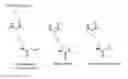 Fig. 07 - Agent and method for identifying lysine crotonylation in proteins