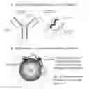 Fig. 01 - Methods and compositions of nucleic acid ligands for detection of clinical analytes related to human health