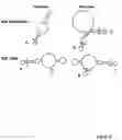 Fig. 14 - Methods and compositions of nucleic acid ligands for detection of clinical analytes related to human health