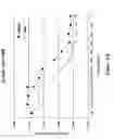 Fig. 25 - Methods and compositions of nucleic acid ligands for detection of clinical analytes related to human health