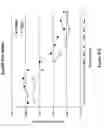 Fig. 30 - Methods and compositions of nucleic acid ligands for detection of clinical analytes related to human health