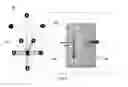 Fig. 03 - Multi-directional microfluidic devices comprising a pan-capture binding region