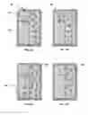 Fig. 04 - Multi-directional microfluidic devices comprising a pan-capture binding region