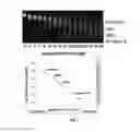 Fig. 09 - Multi-directional microfluidic devices comprising a pan-capture binding region