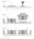 Fig. 06 - Method of manufacturing semiconductor device including filling gap between substrates with mold resin