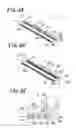 Fig. 07 - Connector