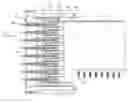 Fig. 01 - Low-cross-talk electrical connector